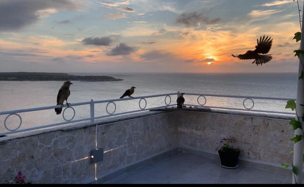 Penthouse 360 Cartagena Leilighet Eksteriør bilde